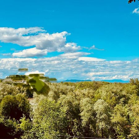 Georgi Schloss - Boutique Hotel Ehrenhausen Zewnętrze zdjęcie