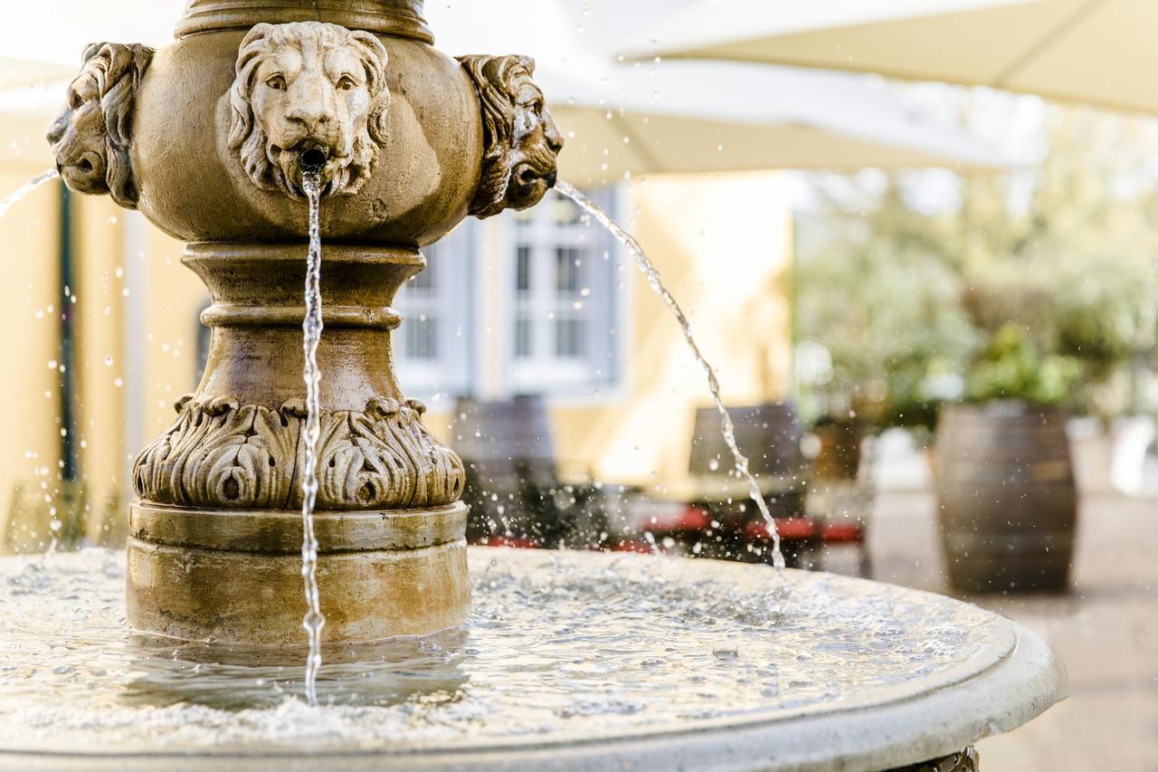Georgi Schloss - Boutique Hotel Ehrenhausen Zewnętrze zdjęcie